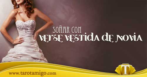 sonar-novia sonar novia