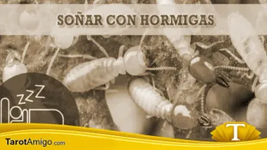 Hormigas