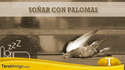 Palomas