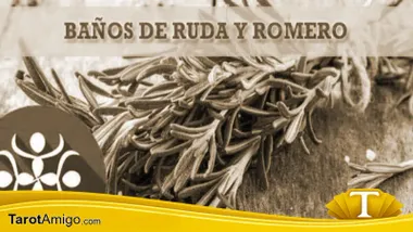 Hierbas de Ruda y Romero