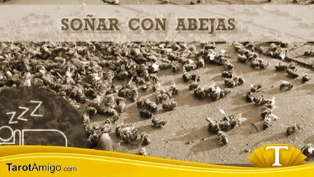 Abejas