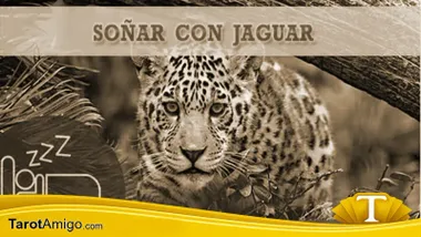 Felino Jaguar