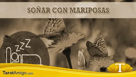 Mariposas