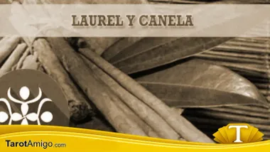 Laurel y Canela