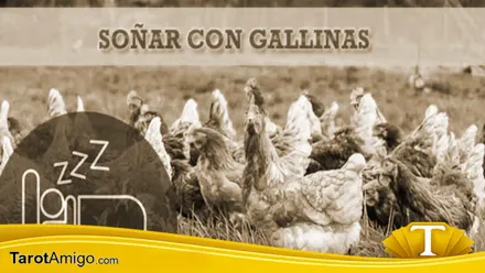 Gallinas