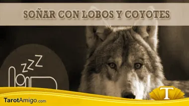 Lobos y Coyotes