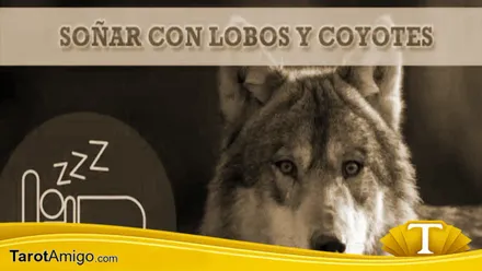 Lobos y Coyotes