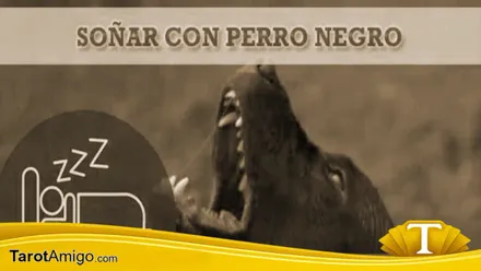 Perros Negros