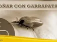Qué Significado Soñar con Garrapatas Grandes