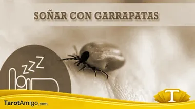 Garrapatas Grandes