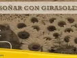 Soñar con Girasoles