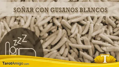 Gusanos