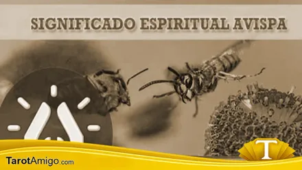 Avispa