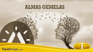 almas gemelas o llamas