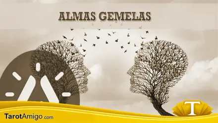 almas gemelas o llamas
