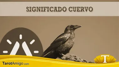 Cuervo Negro