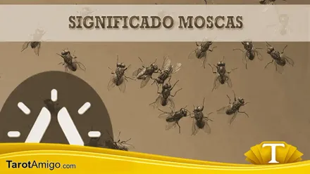 Moscas