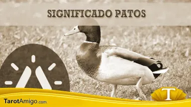 Patos