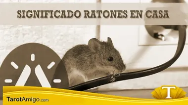 Ratones