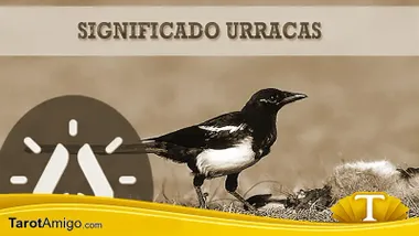 Urracas