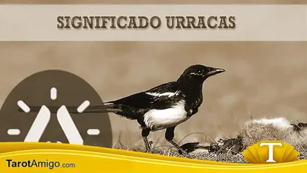 Urracas