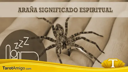 Araña