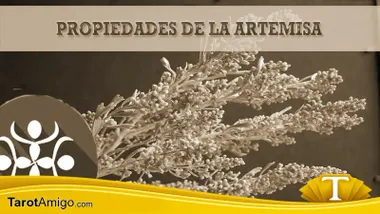 Planta Artemisa