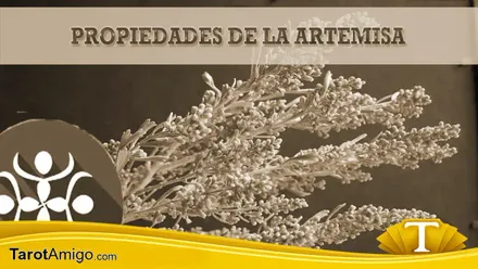 Planta Artemisa