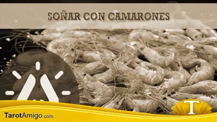 Camarones