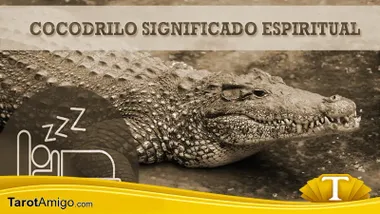Cocodrilo