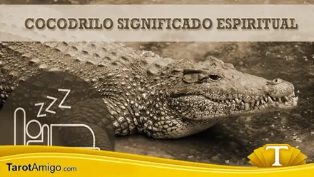 Cocodrilo