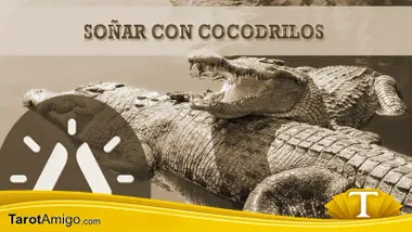 Cocodrilos