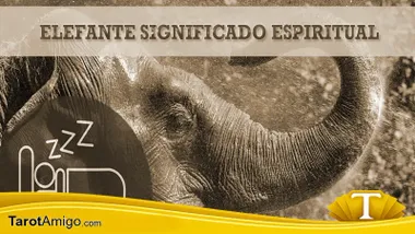 Elefante