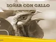 Soñar con Matar un Gallo