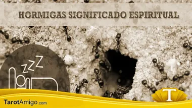 Hormigas