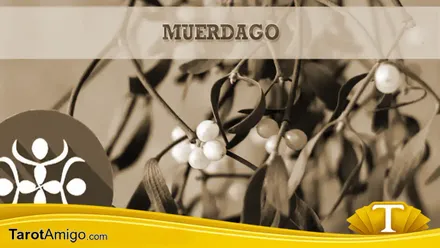 Muérdago