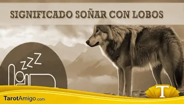 Sueños con Lobos