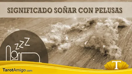 Polvo, pelusas y suciedad