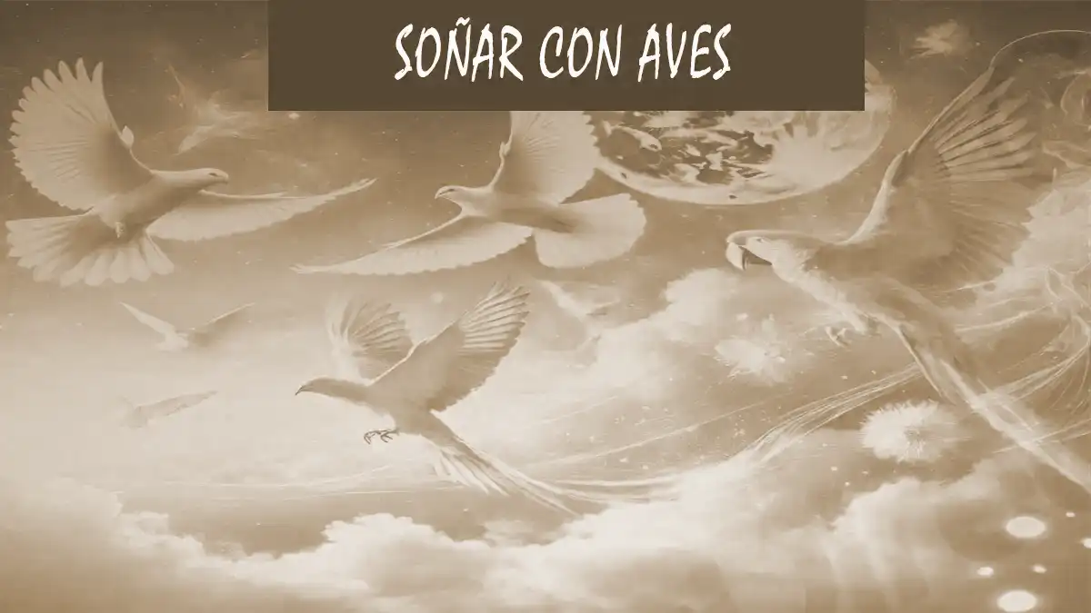 Soñar con Aves