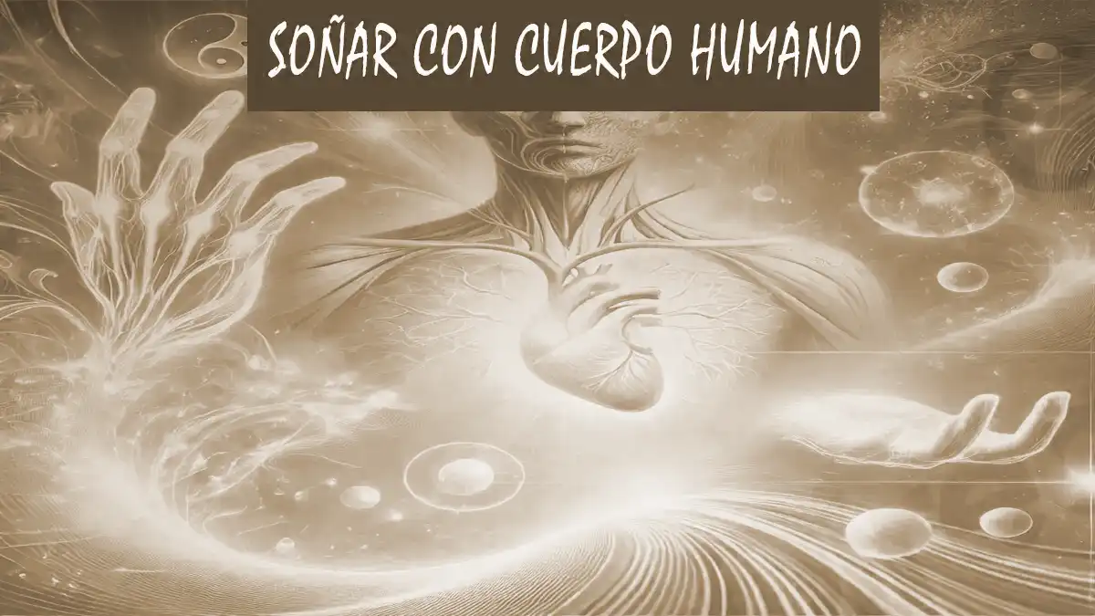 Soñar con Cuerpo Humano
