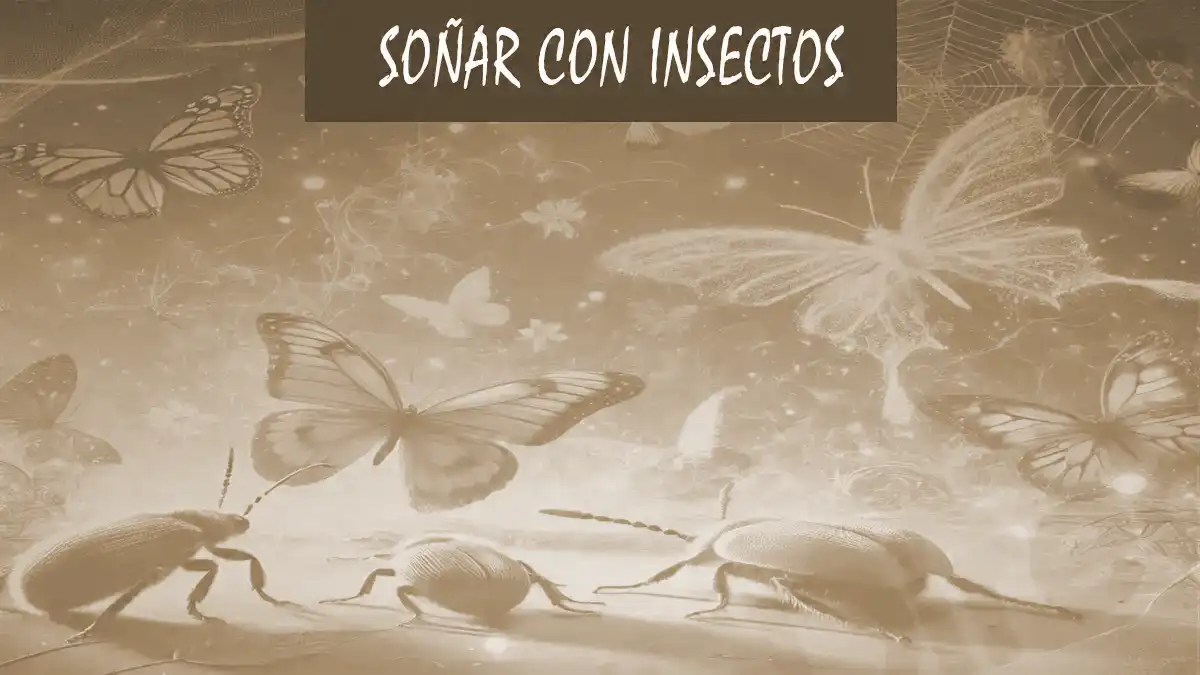 Soñar con Insectos